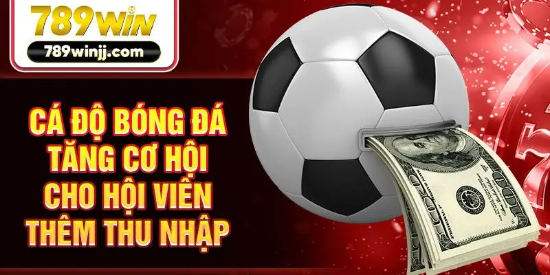 Cá độ bóng đá tăng cơ hội cho hội viên thêm thu nhập Cá độ bóng đá tăng cơ hội cho hội viên thêm thu nhập
